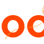 AEO and GEO: How to Get Your Business Recommended by ChatGPT and AI Search